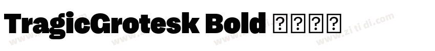TragicGrotesk Bold 字体转换